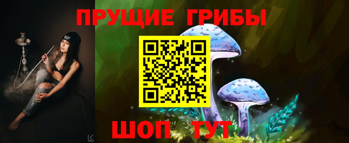 Псилоцибиновые грибы Cubensis  Вход с VPN  Ликино-Дулёво 
